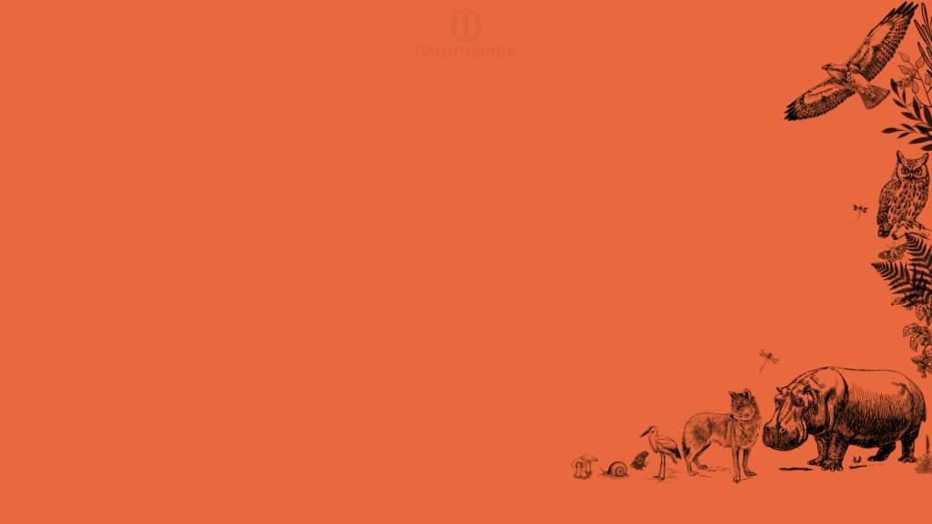 free download wallpaper